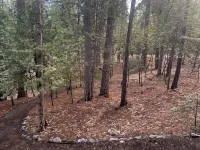 Bright and Cozy Cabin in Blue Lake Springs