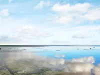 Beachfront Bliss in Snogebaek - By Traum Ferienwohnungen Hotels in Snogebaek