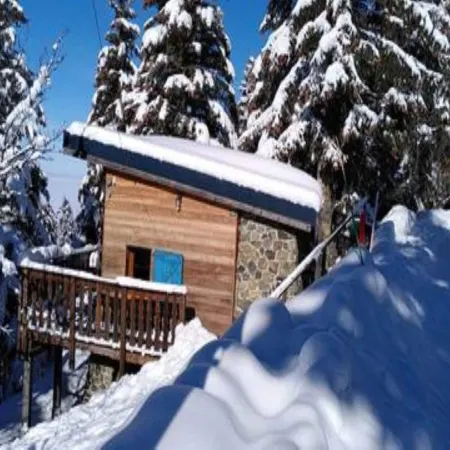 Cozy Alpine Chalet Escape for Two