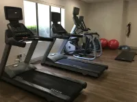 Holiday Inn Express EASTON by IHG - Gym