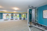 Holiday Inn Express & Suites BRADENTON WEST by IHG - Gym