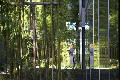 庭 ザ ギブソン ホテル アン アセンド ホテル コレクション メンバーの写真