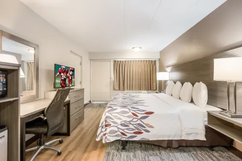 Red Roof Inn Lansing West - MSU