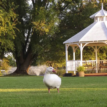 Parklands Resort Mudgee