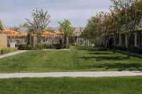 Beachside on Nantucket