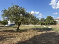 Casa Bungavilia - Roots of Alentejo Hotels in 