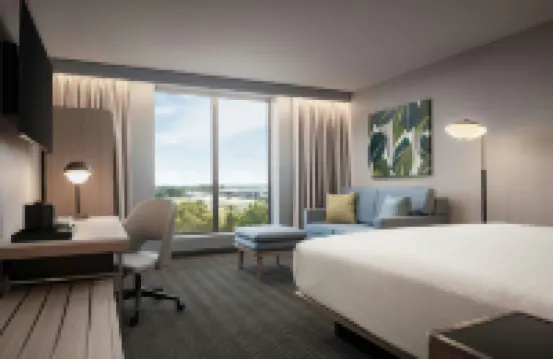 Courtyard by Marriott Cheddi Jagan International Airport, Guyana - Pools