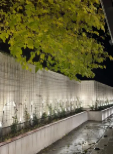 Boutique Hotel The Roots Hotels in 