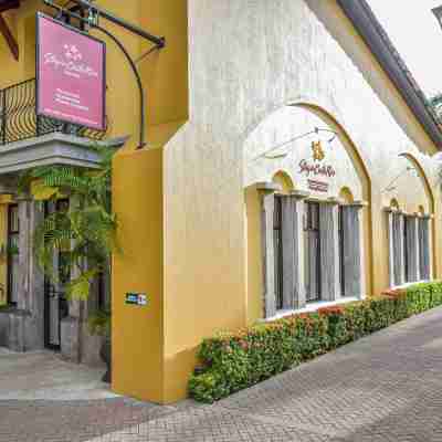 AltaVista 4C 3 bdr Ocean View in Los Suenos Hotel Exterior