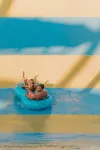 Sheraton Soma Bay Resort - Private Pools