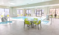 Hampton Inn Williamsport-Downtown - Swimmingpools