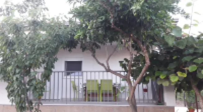 Apartment Branko