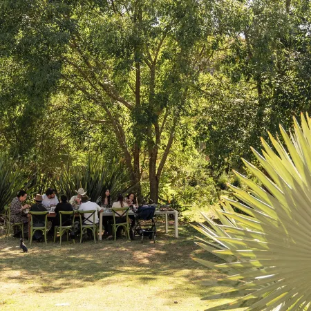 Rancho Con Caballos El Reencuentro