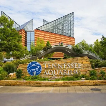 Coal City Bluff Cabin