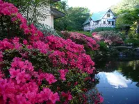 Hotel Ichinokan Hotels in Sano