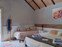 Pousada Juriti - Eco Hotel