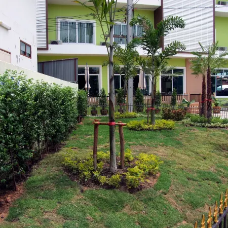 Ruan Rim Nam