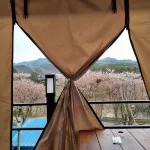 Boeun Pine Tree Pension & Camping - 2-Star