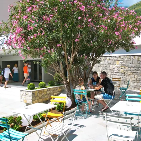 Hotel Castellastva
