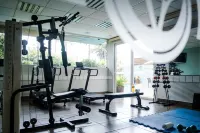 Vitoria Regia Hotel Bauru - Gym