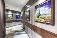 Maple Hotel Second Branch - business