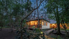 Ishasha Jungle Lodge