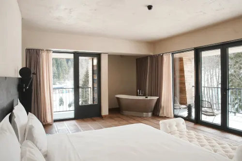 Cottage Kokhta Bakuriani - Homestays