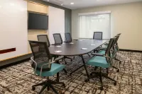列剋星敦南/漢堡廣場TownePlace Suites飯店 - 寵物友善