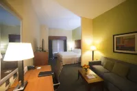 Holiday Inn Express & Suites ATLANTA EAST - LITHONIA by IHG - Parking