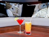 Hôtel Mercure Pau Palais des Sports - bars