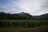 B&b Guest House "Domaine le Clos du Pavillon" Provence
