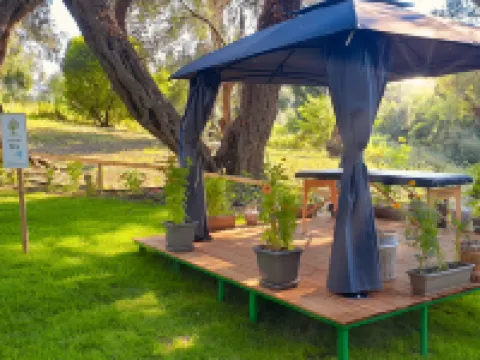 Hotel Yannis Corfu Hotels in Feakes