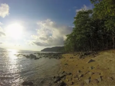 The Pade Dive Resort Hotels in Sukakarya