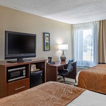 Comfort Inn N Myrtle Beach Barefoot Landing