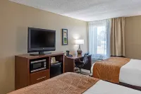 Comfort Inn N Myrtle Beach Barefoot Landing - parking
