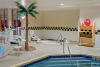 Hilton Garden Inn Chicago O'Hare Airport - piscina