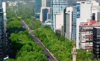 ibis Styles Mexico Reforma