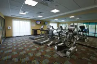 홀리데이 인 익스프레스 & 스위트 디트로이트 노스 - 트로이 바이 IHG - 피트니스 시설