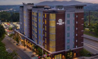 DoubleTree by Hilton Asheville Downtown