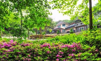 Yangpyeong Beatrice Pension
