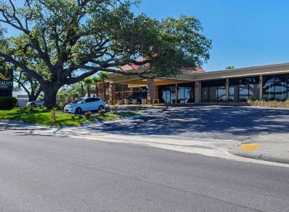 퀄리티 인 빌럭시 비치