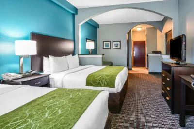 Comfort Suites Tampa - Brandon Hotels in Palm River-Clair Mel