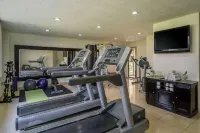 Hyatt Regency Villahermosa - Gym
