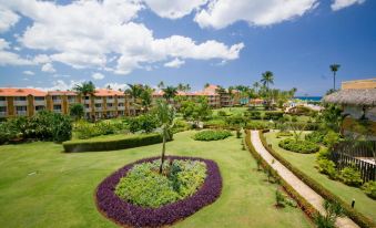 Viva Dominicus Palace by Wyndham, A Trademark All Inclusive