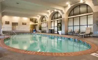Embassy Suites by Hilton Bloomington Edina - Pools