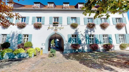 Hotel Domhof - Pet friendly
