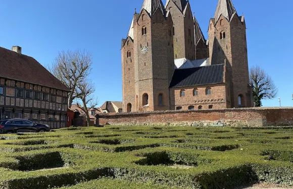 MOVE Eco 健康酒店