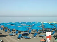 Hotel Flora Hotels in Marina di Bibbona