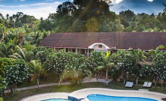 a house with a red roof is surrounded by lush greenery and palm trees , with a pool in front of it at Sierra Resort