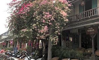 Luang Prabang Oudomlith Villa & Travel
